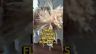 Dried Pampas Grass Bouquet, Boho Table Decor, Bunny Tails Dried Flowers, Brown & White Pampas Grass