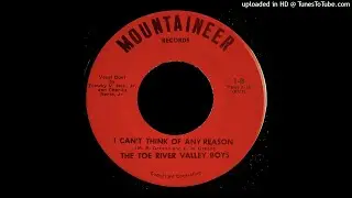 The Toe River Valley Boys - I Can't Think of Any Reason - Mountaineer 45 (Bluegrass)
