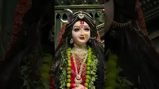 Maiya ji ke bagiya | Navratri special status video | Cg jass geet | #shorts #navratri #viral #status