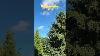 Sommermorgen in den Ferien 🌺 #fyp #explore #viral #trending #routine #gym