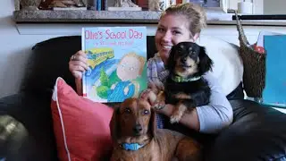 Ollie's School Day By Stephanie Calmenson Read Aloud Children's Book
