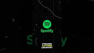 Buying FAKE SPOTIFY Streams For Organic Growth, Does it work?