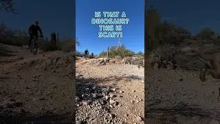 Is that a dinosaur? #mtb #dinosaur