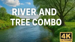 River & Trees Harmony 🌿✨ | Nature&rsquo;s Perfect Combo for Deep Relaxation