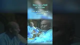 &ldquo;Madhura Swapane Chetana Gagane&rdquo; by Sri Chinmoy #srichinmoy #srichinmoymusic #srichinmoysings