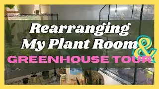 Greenhouse Tour  ||  Rearranging My Plant Room  ||  Soiled Plant