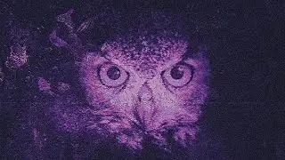 𝐍𝐚𝐳𝐳 - 𝐁𝐫𝐞𝐚𝐤 𝐓𝐡𝐞 𝐏𝐚𝐭𝐭𝐞𝐫𝐧