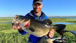 Bass Fishing - Catching a True Giant Deep in the Swamp