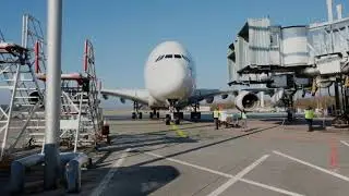 Flight Cancellations During Covid-19