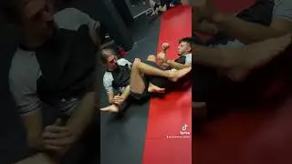 Mount to leg locks #martialarts #mma #bjj