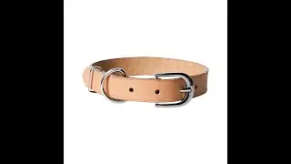 DIY Leather Dog Collar with Buckle | Handmade Pet Accessories Tutorial