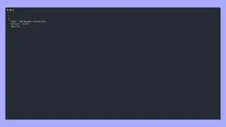 Basic Package JSON