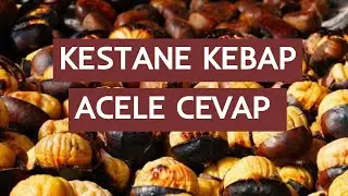 📢Kestane Kebap ACELE CEVAP 👏 Tavada kestane nasıl pişirilir ? Fırında kestane pişirme de yakında...