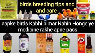 medicine for birds | Best multivitamin and culcium for birds | Weekly schedule for breeding time