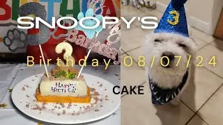 How I made our little furry baby, Snoopy, birthday cake 08/07/2024! #trending