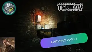 FARMING PART 1 (ESCAPE FROM TARKOV) MECHANIC QUEST