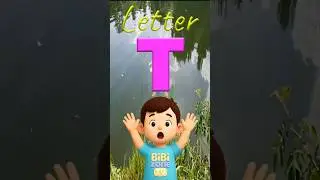 T for Turtle 🐢 | Learn Alphabet ABC for Kids | BibiZoneTV Shorts