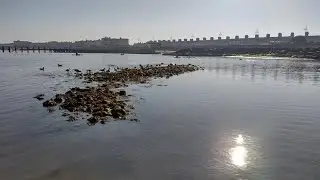 Extremely Low Spring Tide at Childrens Corner Lowestoft Beach August 2022