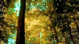 Pale Sketcher-Jesu - Don't Dream It (Mirage Mix)
