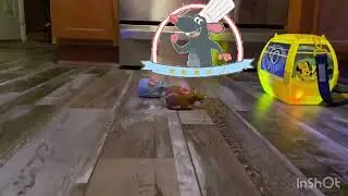 Disney Remy and Emile remote control toys race to the Sky Liner Popcorn Bucket in slo mo. #disney