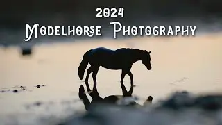 2024 Modelhorse Photography Recap | PRS Studios