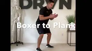 Boxer to Plank