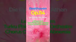 Beethoven Op.114 'Die Ruinen Von Athen'(Segerstam)