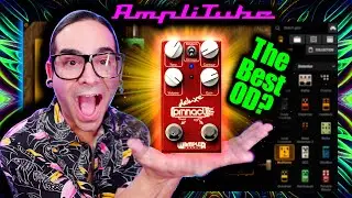 AMPLITUBE 5 | OverDrive PEDAL MADNESS