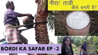 Making of Neera / Toddy At Bordi Village | ताड़ी /नीरा कैसे बनती है? | Bordi Ka Safar Ep 2 | Sonali
