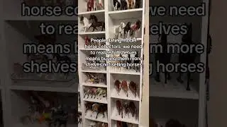 Buy them more shelves! 😵&zwj;💫 #breyerhorses #breyer #horse #modelhorse #collector #collection