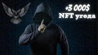 +3 000$ показую всю угоду наживо