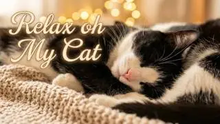 Calming Music for Cats &ndash; Restful Instrumental Vibes | Pawsitive Sounds