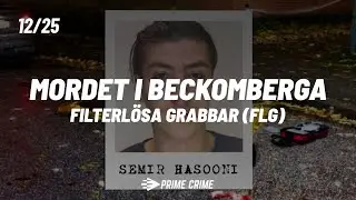 Mordet i Beckomberga - Sirvan Rizwand, Tilltalad, Inspelning 1