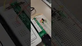 Toggle counter