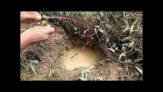 Mancing ikan gabus pemula.Pencing ikan gabus unik. Pancing ikan gabus di kubangan lumpur