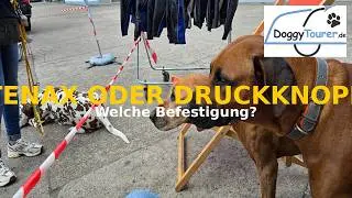 Tenax Knöpfe am DoggyTourer