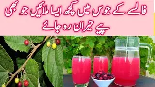 Falsa Sharbat Recipe | Summer Drink | Grewia Asiatica Syrup Recipe | فالسے کا جوس بنانے کا طریقہ