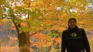 Webster Falls Trail & Dundas Peak Trail Hiking ,Ontario 🇨🇦🍁💛🍁(রঙিন পাতার সৌন্দর্যের ভিতর হাইকিং)