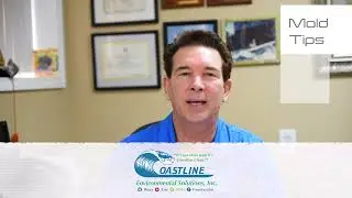 What Are Common Causes Of Mold? | Mold Remediation Long Beach CA | Mold Testing Long Beach CA