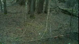 VID0020