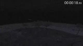 Strange creature found on motion activated camera