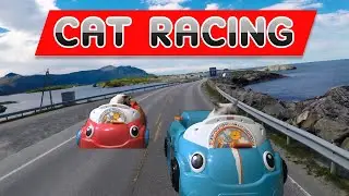MARIO CART MOVE OVER CATS GONE WILD /CAT GAMES -/ ANIMAL CUTENESS OVERLOAD