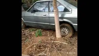 Corcel o poderoso