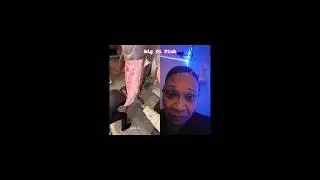 Ашкан убивает этих водных существ #еда #приготовление пищи