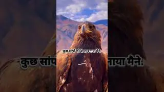 Best Motivational Shayari #motivation #success  #shorts #trending #motivational #upsc