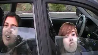 Funny Face Car Windows