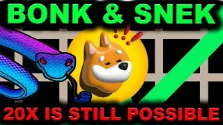 $BONK & $SNEK on track to 20x! Easy Life Changing $$$! Cardano vs Solana?