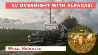 Overnight at an Alpaca & Llama Ranch | Harvest Hosts Stay in Nebraska