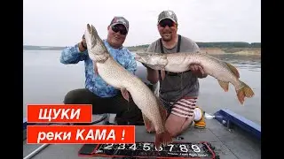 ЩУКИ реки КАМА В гостях у 
