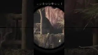 Hunt Showdown 1896 Clutch Moments Gone Wrong